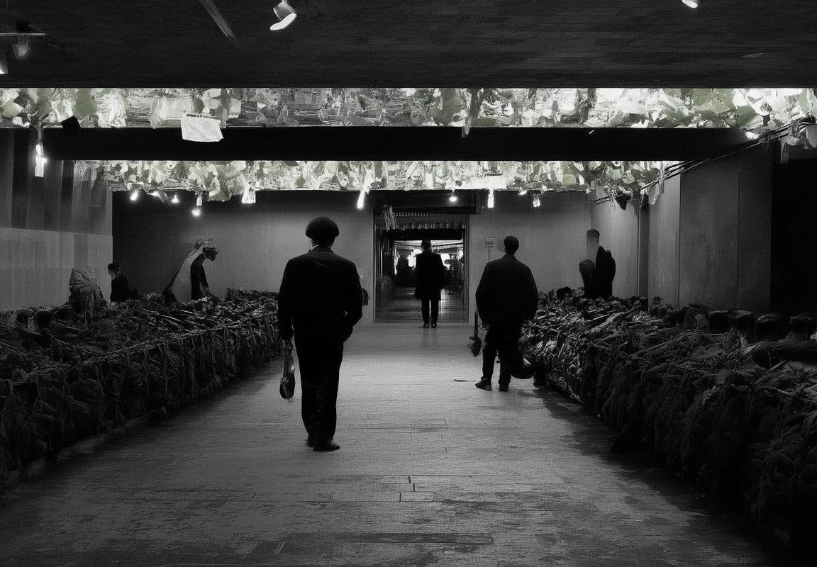 东南亚DOTA崛起：Blacklist International以独特战术风格震撼国际赛事，重塑全球DOTA格局